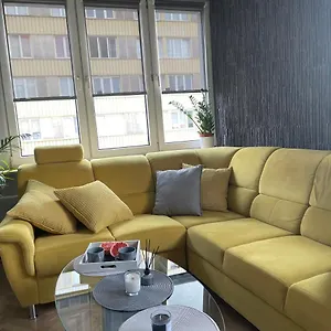 Grey Gucci Center Варшава